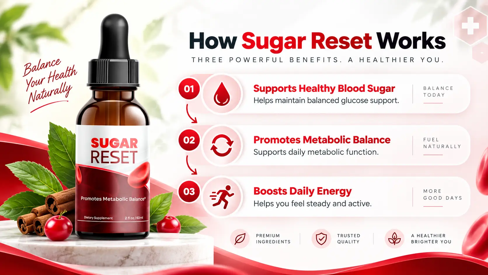 How Sugar Reset works — blood sugar, metabolic balance, daily energy
